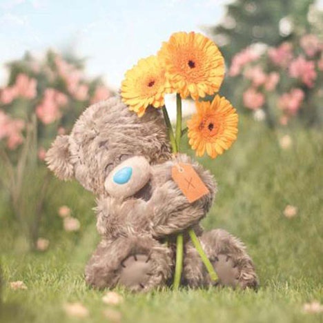 3D Holographic Birthday Flowers Me to You Bear Card £2.99
